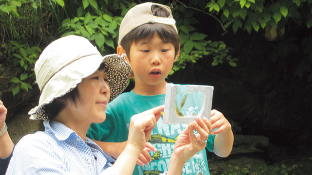 ドジョウのヒゲは何本 シティライフ株式会社 千葉県市原市で情報紙発行 印刷全般 広告 ホームページ制作 名入れカレンダー通販